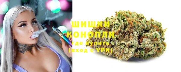амф Струнино