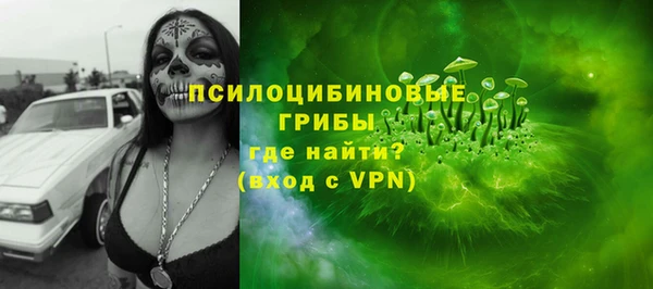 мескалин Богородицк