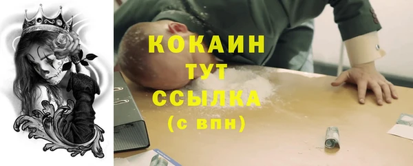 мескалин Богородицк