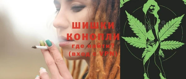 бошки Богданович