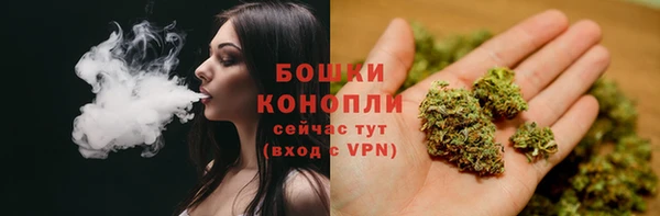 бошки Богданович