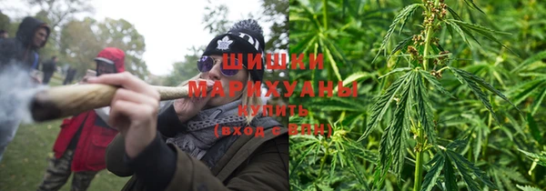бошки Богданович
