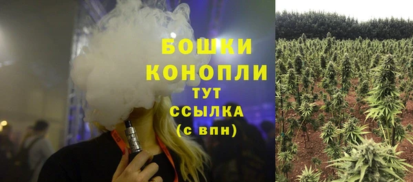 бошки Богданович
