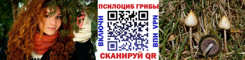 Псилоцибиновые грибы мухоморы  Приволжский 